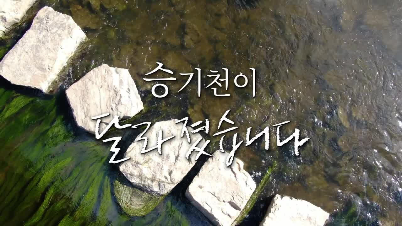 승기천이 달라졌습니다.